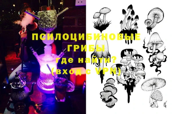 дурь Надым