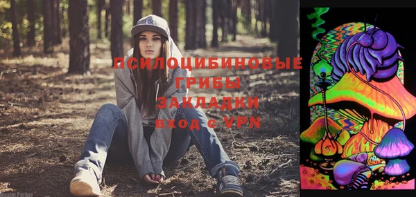 дурь Надым