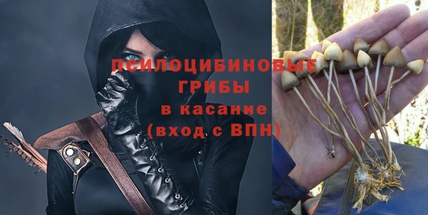 дурь Надым
