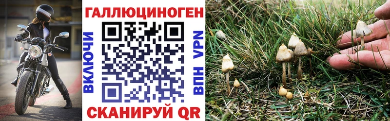 Галлюциногенные грибы прущие грибы  Урус-Мартан 
