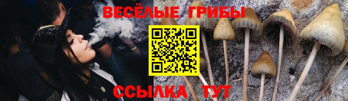 цены наркотик  Галлюциногенные грибы мицелий  Вход с VPN  Урус-Мартан 